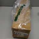 Mini Tabletop Christmas Tree with 30 LED String Lights, Star Top, Perfect for DIY Decoration 2ft