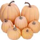 Winlyn 7 Pcs Assorted Sizes Artificial Fall Pumpkins Faux Orange Decorative Foam Pumpkins for Gifts Fall Baby Shower Wedding Thanksgiving Halloween Table Centerpiece Mantel Decor