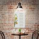 William Wordsworth Daffodils Poetry Quote Metal Wall Decor Classic Literary Nature Home Office 8x12 Inches Aluminum