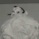 karlery Judge Colonial Wig Man Long Wave White Wig for Halloween Costume Cosplay Party