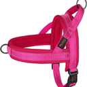 Didog No Pull Dog Harness with Soft Mesh Padded,Reflective & Quick Fit Light Weight Dog Strap Vest Harness,Easy for Walking Training (XS:Chest 15-18", Mesh-Hot Pink)