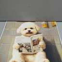 Bichon Frise on Toilet Unframed Wall Art Print Poster, Dog Bathroom Humor Decor Posters Prints for Restroom Home Picture Painting Artwork Gallery 7 (Bichon Frise, 20"L x 16"W, Unframed)