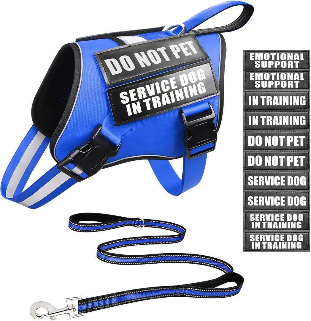 Service Dog Vest Harness and Leash Set+10 Patches,Easy Walk Blue S No Pull&Adjustable Reflective Dog Harness Small Sized,Dog Leash with 2 Soft Padded Handles,for Training Hiking Walking, Small