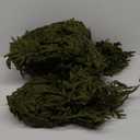 Hananona 12 Pcs Artificial Norfolk Pine Garlands, Real Touch Winter 6 Ft.
