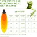2 x Reptile Heat Lamp Bulbs 75W E26 - UVA Basking Spot Light for Reptiles - Simulated Sunlight for Bearded Dragon, Lizard, Tortoise, chickss and More | 2 Pack