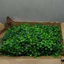 12 Pcs 20"X20"Grass Wall Backdrop, UV-Protected Greenery Wall Backdrop, Grass Wall Panels, Boxwood Hedge Wall Green Wall Decor Boxwood Panels Indoor & Outdoor Decor