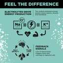 LMNT Zero Sugar Electrolytes - Raw Unflavored Salt | Drink Mix | 30-Count