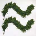 6FT Artificial Norfolk Pine Garland 2 Pack  Dense Green Christmas Garland, Real Touch Holiday Greenery for Front Door, Fireplace Mantel, Staircase, Indoor Outdoor Home Decoration