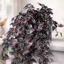 2 Pack Artificial Hanging Tradescantia Plants with Ceramic Pot Large Purple Cascading Faux Greenery Full Trailing Fake Vines Indoor Wall Shelf Decor for Bathroom Patio Outddor Decor (Purple-01)