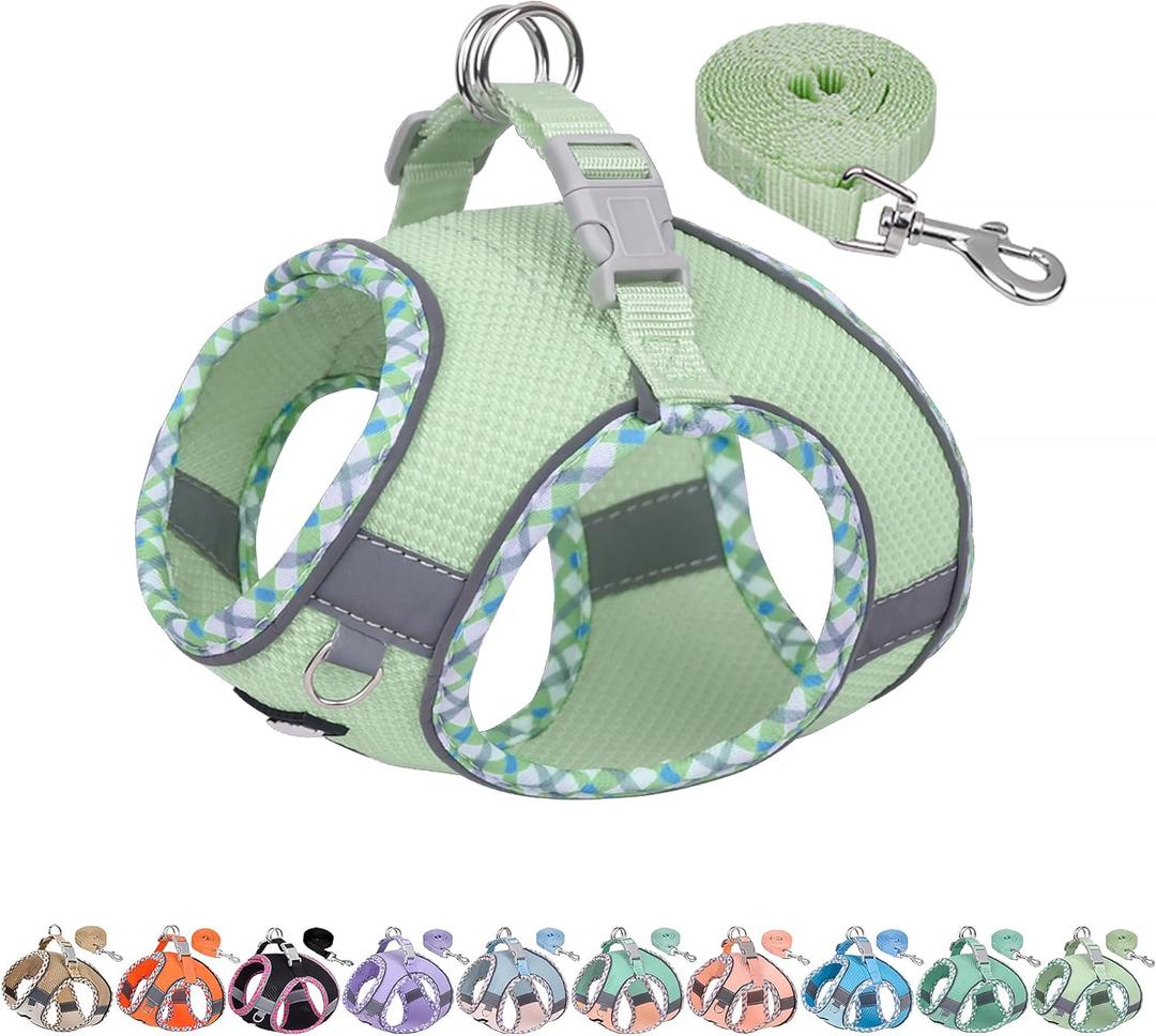 AIITLE Tiny Dog Harness - Lightweight Mesh Step-in Vest for Puppy, Reflective & Escape-Proof Design with High-Stick Magic Tape - Indoor/Outdoor Use for Chihuahua, Maltese, Shih Tzu(Sage, XXXS) (XXXS(Chest: 8.5 - 10"))