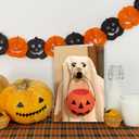 3 x Funny Halloween Card for Dog Lover, Cute Dog Halloween Card Gifts for Kids Friends Family, Trick Or Treat Dogs Cards, Happy Howl-o-Ween. (901)