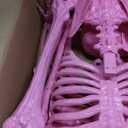 Watayo 5.5 Ft Halloween Pink Skeleton Large Decoration with Movable Joints