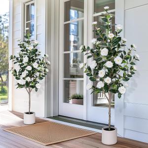 Yepdin 63 inch Artificial Camellia Tree with White Flower Pots -2 Pack White Fake Tree,5 Ft Faux Plants Indoor wich Blooming,Artificial Plants for Indoor & Outdoor Home Front Door Decor