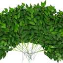 24Pcs Artificial Italian Ruscus Greenery Stems, Faux Green Leaf Garland Branches Hanging Greenery Spray for Wedding Bouquet,Arch,Table Centerpieces Balloon Arch and Home Decor (24)