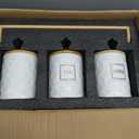 JUXYES Set of 3 Ceramic Canisters Set for Sugar Coffee Tea With Handle Tray, Luxurious Storage Containers Sets with Lids Decorative Storage Pots White Ceramic Storage Jar for Kitchen Dining Counter