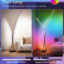 RGB Arc Floor Lamp, Dimmable Double-Light Standing Lamp, 3CCT, Remote & Foot Switch, for Living Room, Office, Bedroom, Black RB61LD05