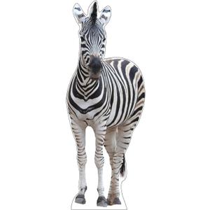 Life Size Cardboard Cutout Standup | Waterproof | Animals - Zebra