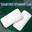 ECLIPSE Spearmint Chewing Gum Sugar Free, Mint Gum Bulk Pack, 8.8 Ounce (180 Piece Bag) (EXP 05/01/26)