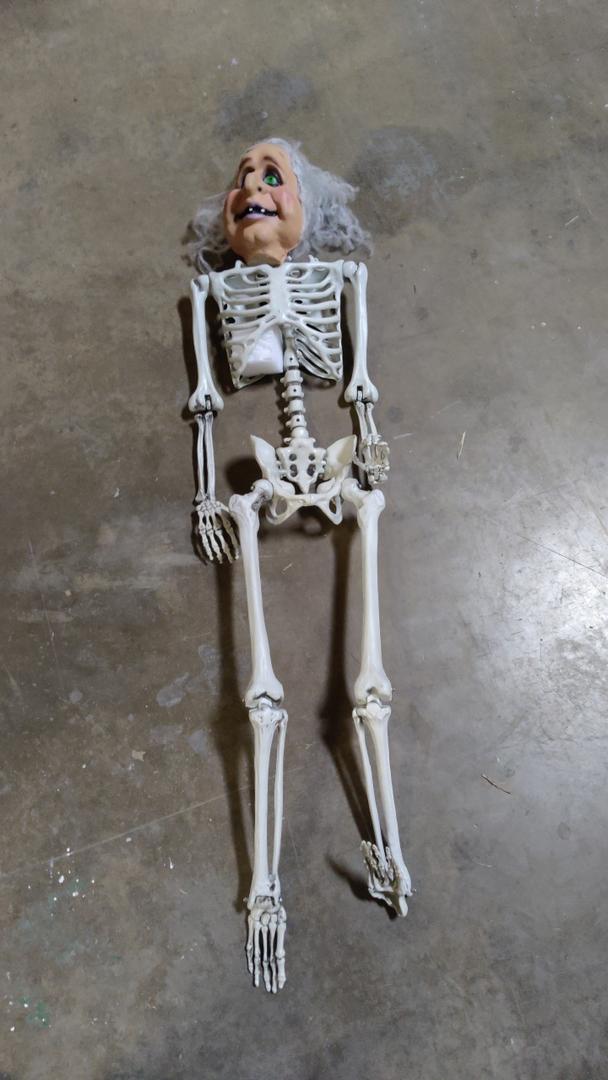 Halloween Life Size Skeleton, 5.4FT Skeleton Decor Realistic Full Body Bones Poseable Halloween Skeleton Prop with Movable Joints for Indoor Outdoor Party Haunted House Lawn Décor