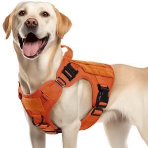 rabbitgoo Tactical Dog Harness Medium Sized, Heavy Duty Pet Harness with Handle, No-Pull Service Vest Medium Breed, Adjustable Military Dog Vest for Training Hunting Walking, Orange, M