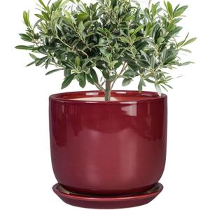 Ceramic Flower Pot for Plants - Cylinder Modern 8 Inch Plant Pot Indoor with Drainage Hole and Saucer, Home Office Room Porch Decor, Red