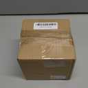 DEMDACO 5 O'Clock Somewhere Black Bear 3 x 3 Hand-cast Resin Figurine Sculpture