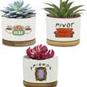 KONROOWEI 3 Pcs Friends tv Show Cute Merchandise Ceramic Plant Pots,Funny Friends Decor Themed Gifts for Women,for House Plants Garden Planters Succulent Pots(Not Included Plants) (White)