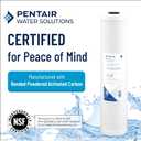 Pentair Pentek CBC-20BB Big Blue Carbon Water Filter, 20-Inch, Whole House Carbon Block Replacement Cartridge with Bonded Powdered Activated Carbon (PAC) Filter, 20" x 4.5", 0.5 Micron