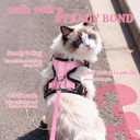 rabbitgoo Cat Harness and Leash for Walking, Escape Proof Soft Adjustable Vest Harnesses for Cats, Easy Control Breathable Reflective Strips Jacket, Pink, XXS