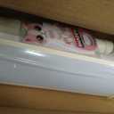 ShadesU Cordless Zebra Blinds Roller Shades, Ivory, 45" W x 72" H