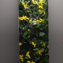 Expandable Fence Privacy Screen for Balcony Patio Outdoor,Decorative Faux Ivy Fencing Panel,Artificial Hedges (Single Sided Leaves) (4, Yellow Flowers) 45"L X 12"W