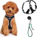ThinkPet Harness and Leash Set Reflective Breathable Soft Air Mesh No Pull Puppy Choke Free Over Head Vest Ventilation Harness with Leash for Puppy Small Medium Dogs and Cats