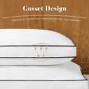 DOWNSTORIA Goose Feather Down Pillow US King Size 2 Pack