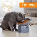 Kifmurase 6Pcs Elevated Cat Bowls, 15Raised Cat Food Bowl, Anti Vomiting Tilted Raised Whisker Friendly Cats Dishes, Plastic Pet Food and Water Bowls for Cats and Small Dogs