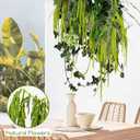 5Pcs Dried Amaranthus Hanging Flowers - 100% Natural 23 Neon Green Preserved Amaranthus Flowers for Wedding Arch, Floral Arrangment, Wall Hanging