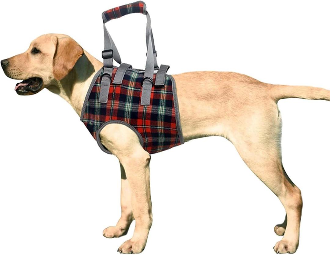 ROZKITCH Dog Lift Harness, Grid Pet Chest Support Aid Veterinarian Approved Sling for Old K9 Help With Poor Stability, Front Legs Disabled Joint Injury Elderly Arthritis ACL Rehabilitation Rehab (Medium)