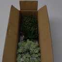 Winlyn Set of 3 Artificial Potted Succulent Plants Faux Aloe Hops String of Pearls in Rustic Concrete Planter Small Fake Desk Plants for Farmhouse Desk Kitchen Bathroom Shelf Windowsill Greenery Decor