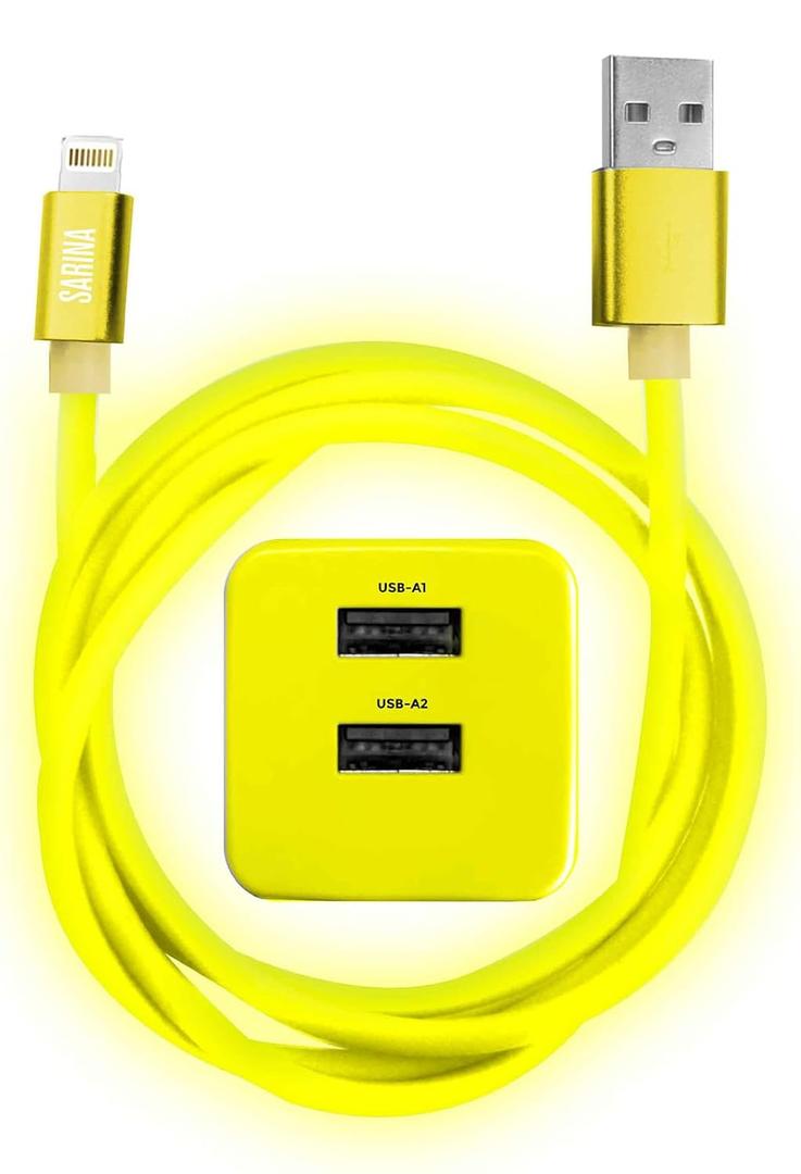 Sarina MFi Certified iPhone USB to Lightning Cable Lightning & Type-C iPhone Charger Cord with 4FT, 6FT, 10FT Lengths - Compatible with All iPhone, iPad Models 