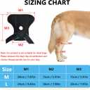 2 x Dog Knee Brace for Back Leg, ACL Support for Large Dogs, Adjustable Dog Leg Brace for Hind Leg Injuries, Canine Joint Wrap for Arthritis Recovery (L)