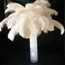 Sowder 14-16inch(35-40cm) Ostrich Feathers,Ostrich Plume,Wedding centerpieces Feathers Plume for Wedding Centerpieces Home Decoration Pack of 10pcs(White)