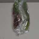 40 Pcs Christmas Artificial Pine Branch Pinecones Berry Set - Mixed Fake Greenery Twigs Foliage Sprigs Faux Pine Cones Picks Berries Stems for Vase DIY Craft Xmas Garland Home Decor (40, Red Berry)