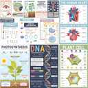 BrightenKidz Biology Posters for Classroom, 15 Pack 11x17 Science Charts