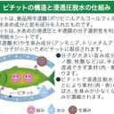 OKAMOTO Okamoto Pichit Regular, 32 Rolls, Fish and Meat Food Dehydrating Sheet, Commercial Use, Made in Japan