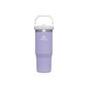 Stanley IceFlow Flip Straw Tumbler with Handle 30 oz | Twist On Lid and Flip Up Straw | Leak Resistant Water Bottle | Insulated Stainless Steel |BPA-Free | Lavender
