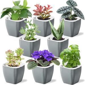8 Pack 4-inch Plant Pots Indoor Garden Decorative Flower pots Small Self-Watering Planters for Small Plants WindowSill Planters for Succulents, African Violets, Herbs(Sliver Black)