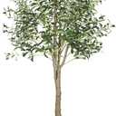 YOLEO 6FT Tall Artificial Olive Tree Faux Silk Plant for Home Office Indoor Decor Fake Olive Tree with Lifelike Olive Leaves