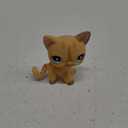 Mini Pet Toys #886 Yellow Short Hair Cat Rare Cream Stripe Blue Eyes Cute Kitty