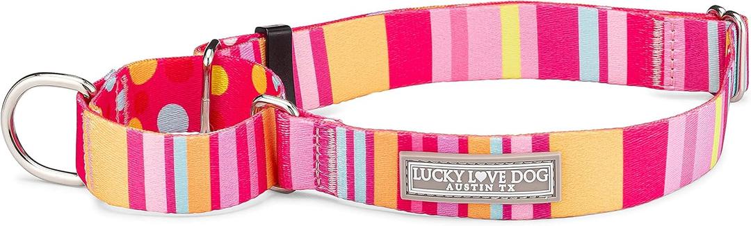 Lucky Love Dog, Colorful Stripes Martingale Dog Collar, Yellow, Pink, Blue Color No Slip Dog Collar - (Small, Molly Martingale) (Small Collars (10-15"))