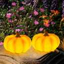 Solar Pumpkin Garden Statues Halloween Pumpkin Decorations Outdoor Pumpkin Lights Fall Decorations for Porch Terrace Yard Lawn Patio, 2 Pack Small Pumpkin