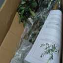 7FT Artificial Olive Tree with Lights & Planter, Tall Faux Olive Plant